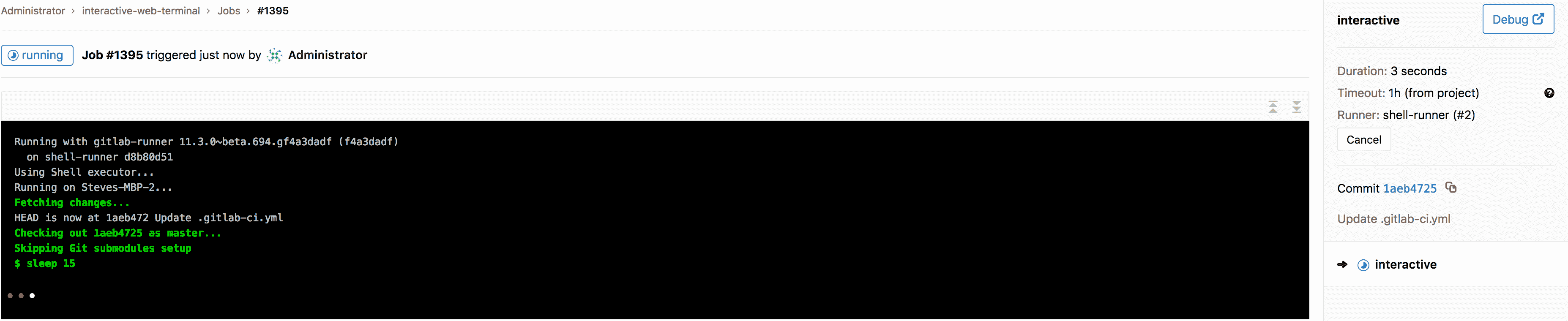 Example of job running with terminal\navailable